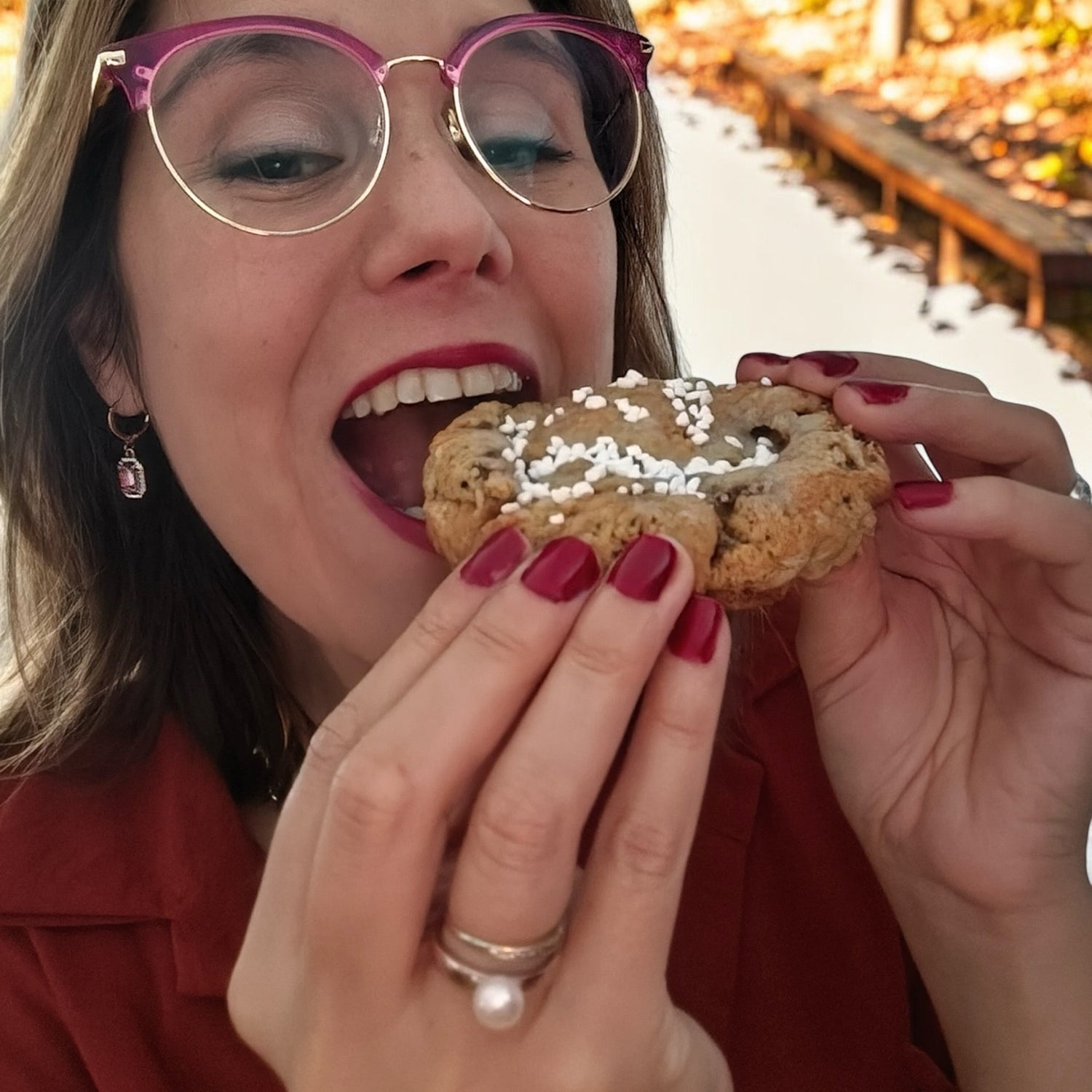 NYC Cookies - Luna Fusion Bites